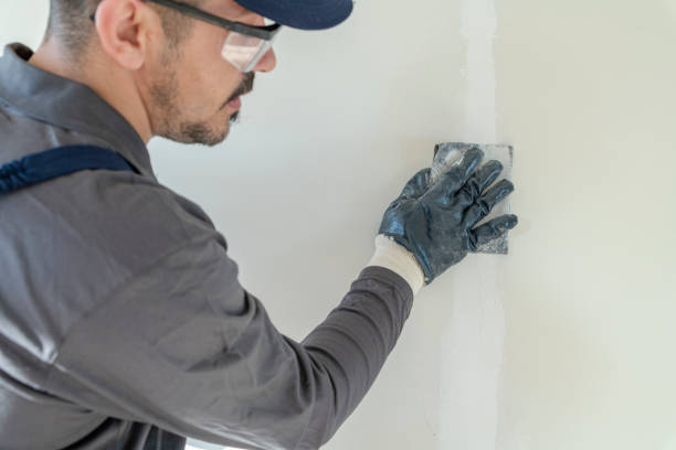 Best Fire-Damaged Drywall Repair  in Rosedale, MD